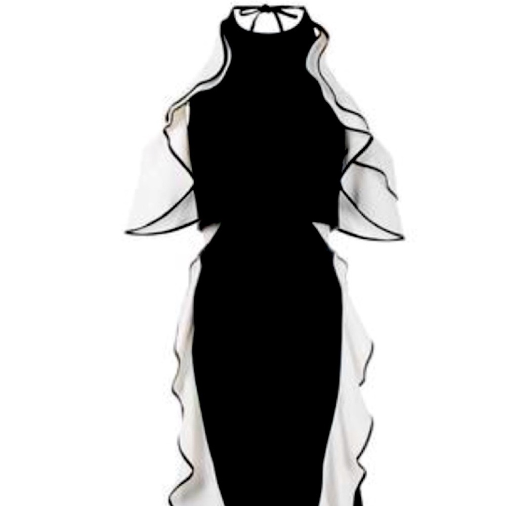 JONATHAN SIMKHAI Ladies Dress
